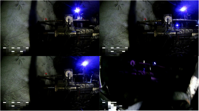 Fig 7