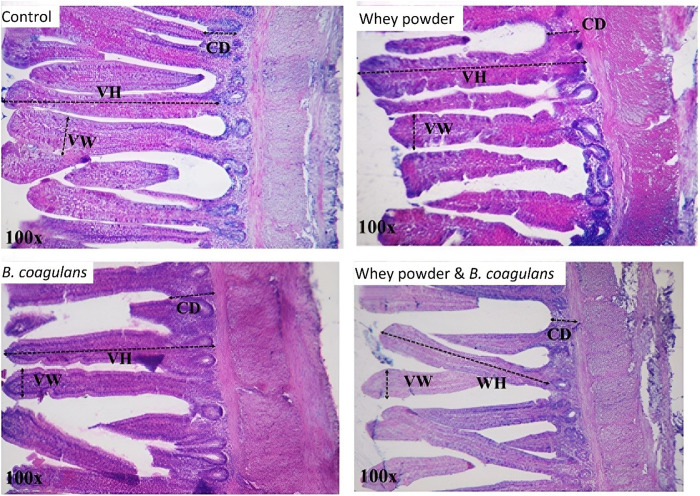 Fig 2