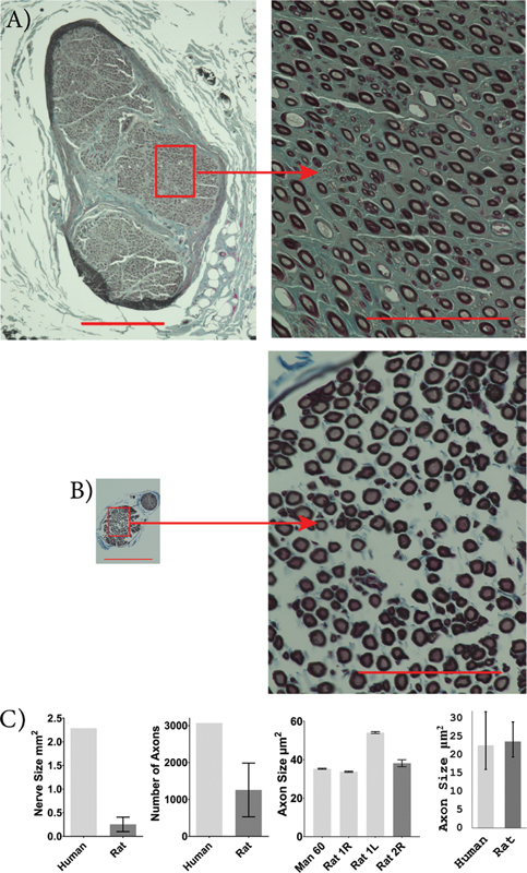 Fig. 8