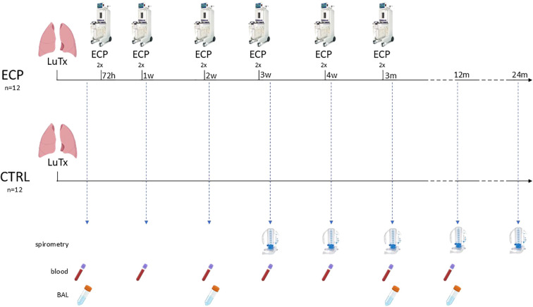 Figure 1