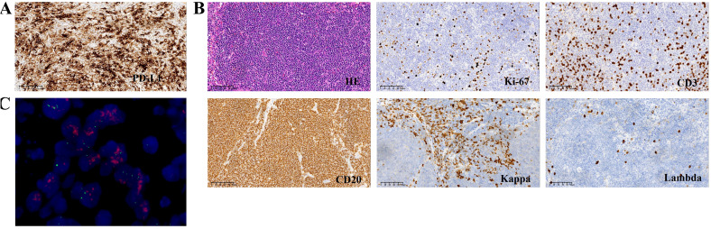 Figure 3