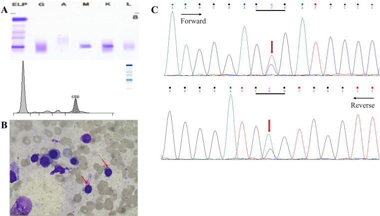 Figure 4
