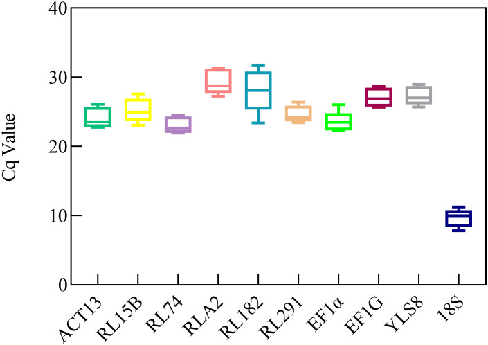 Figure 2