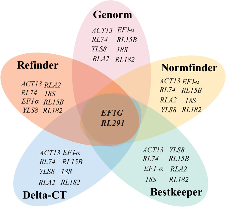 Figure 4