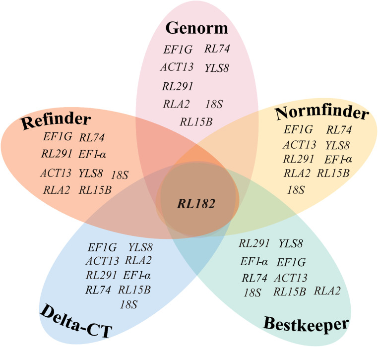 Figure 5
