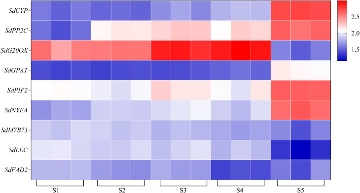 Figure 6