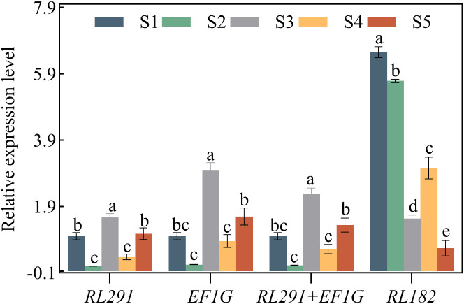 Figure 7