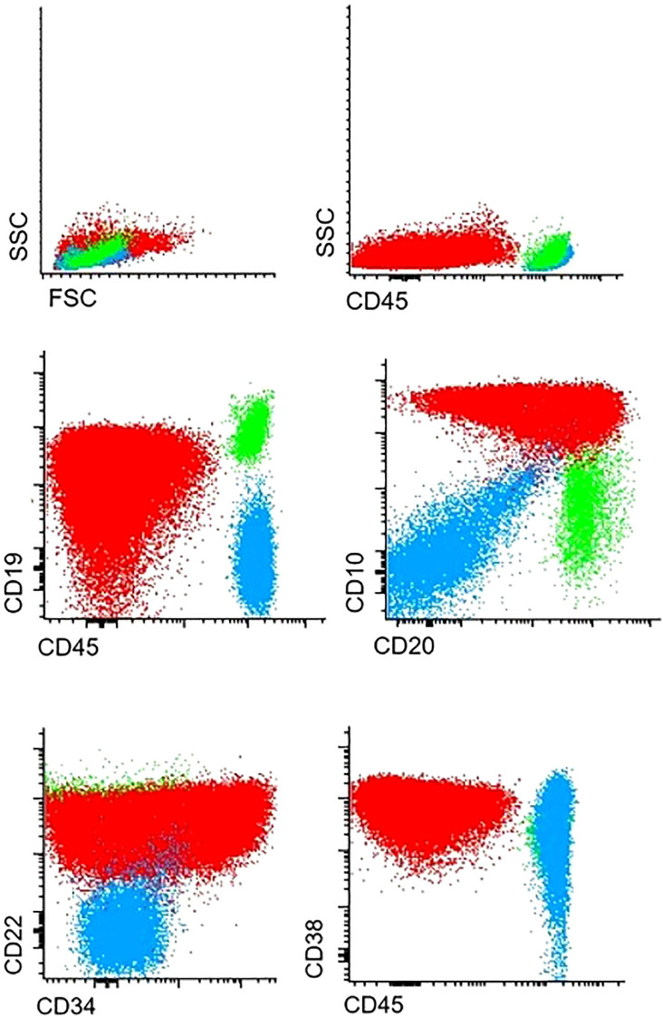 Figure 2