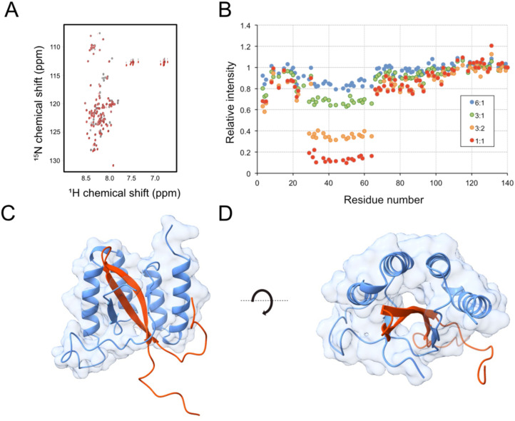 Figure 4