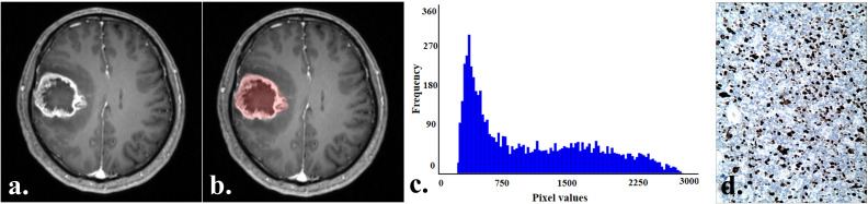 Figure 3