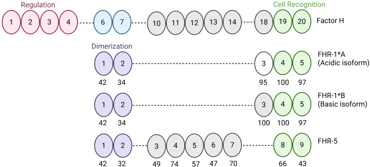 Figure 1