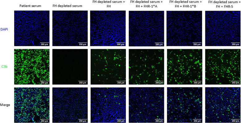 Figure 4