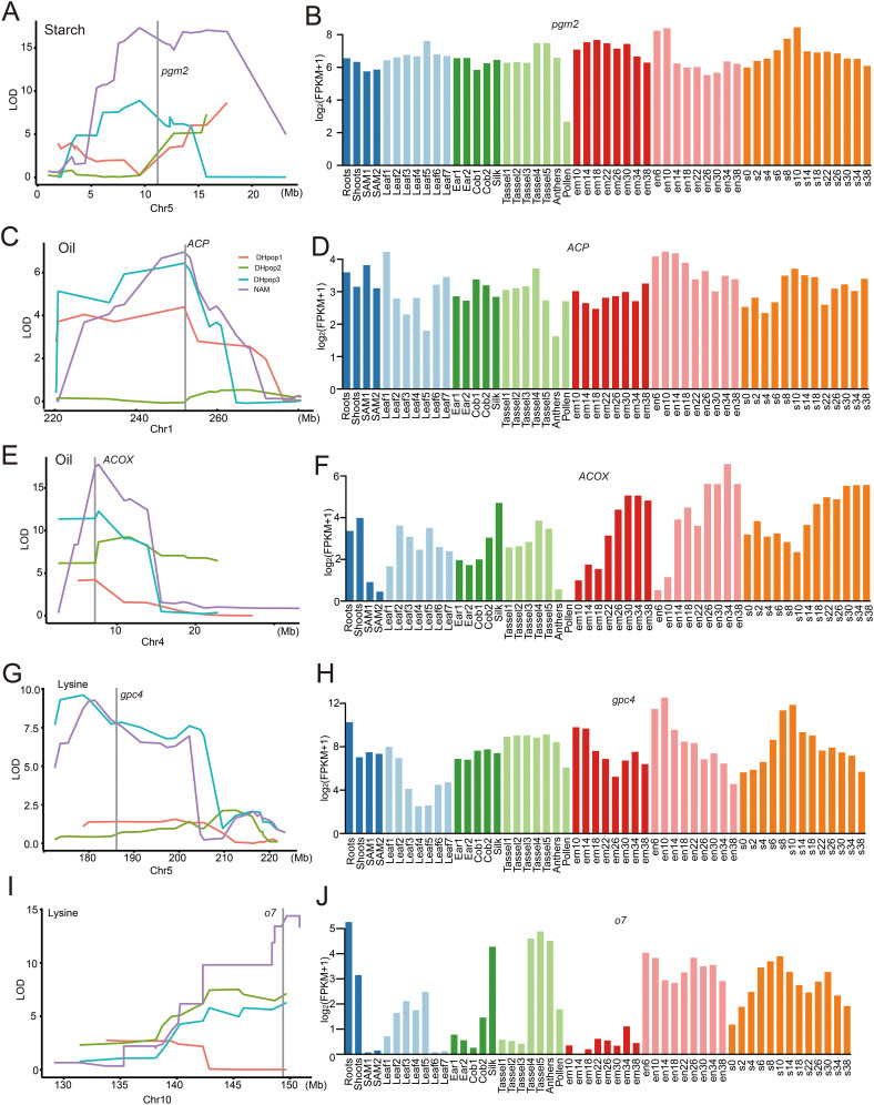 Figure 3