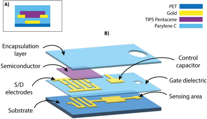 FIGURE 1