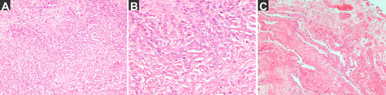 Figure 4