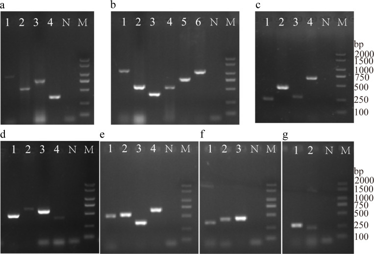 Figure 4