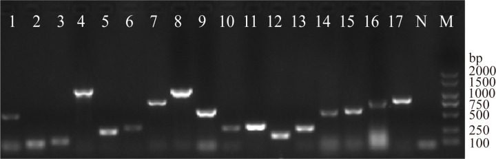 Figure 6