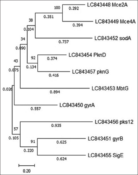 Figure 11