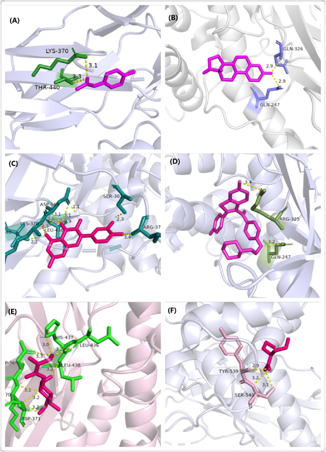 FIGURE 3