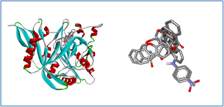 Fig. 11
