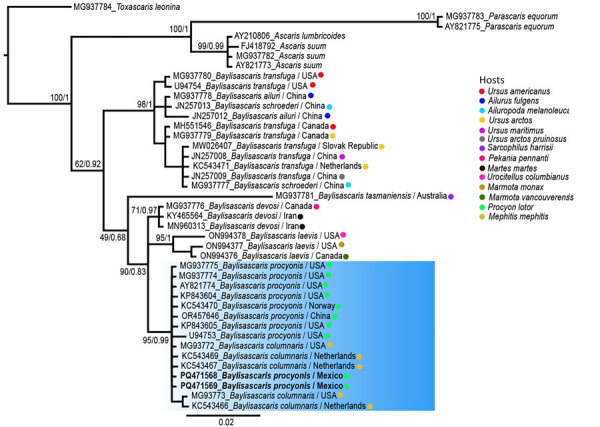 Figure 2