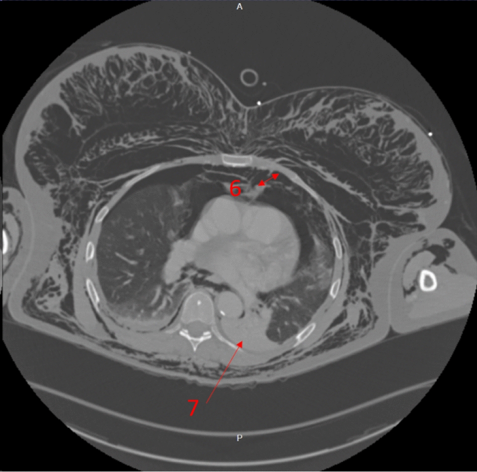 Figure 5