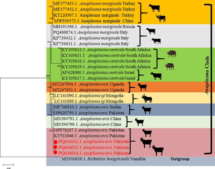 Fig 3
