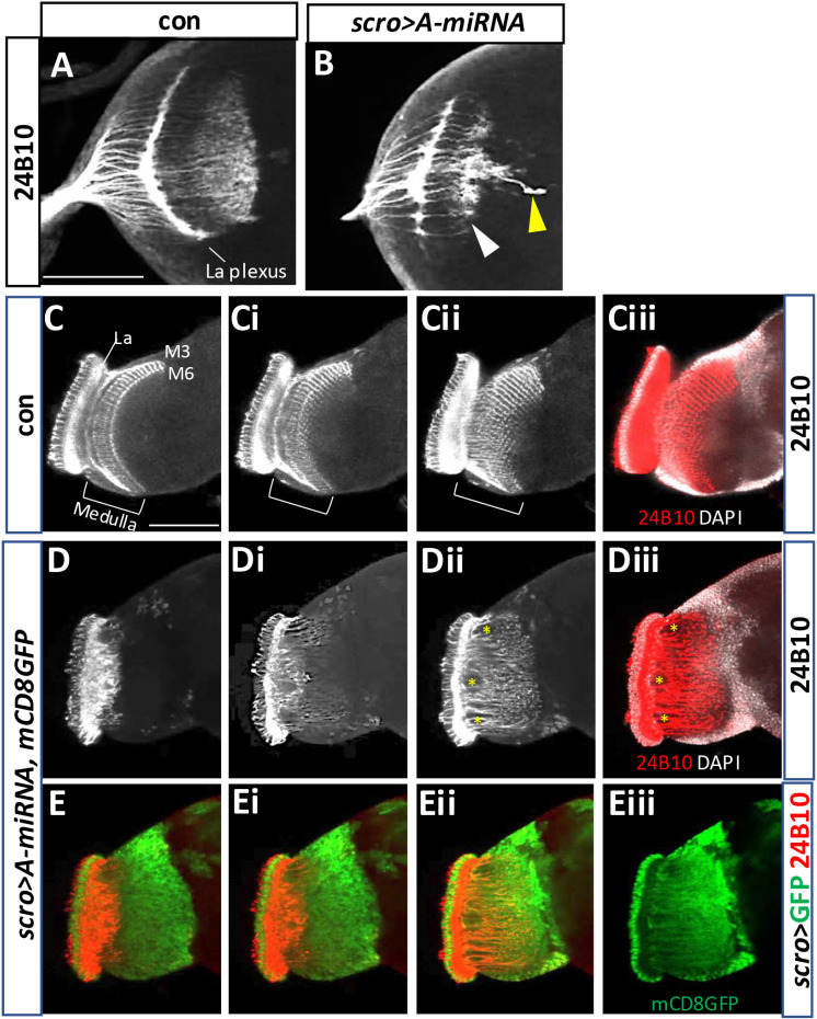 Fig 15
