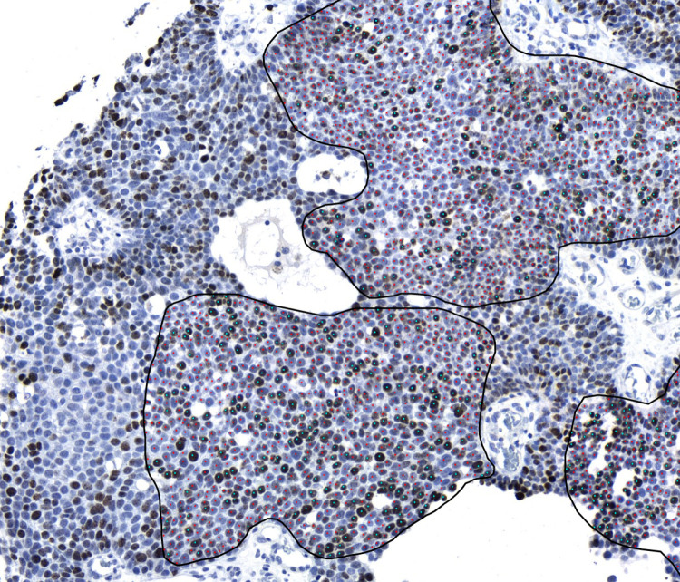 Fig1