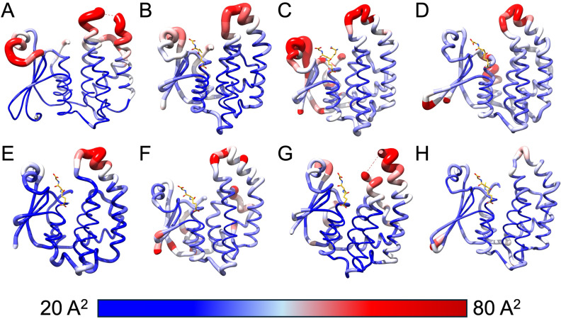 Fig 5