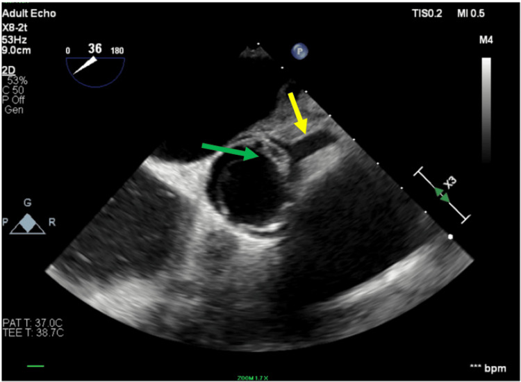 Figure 7