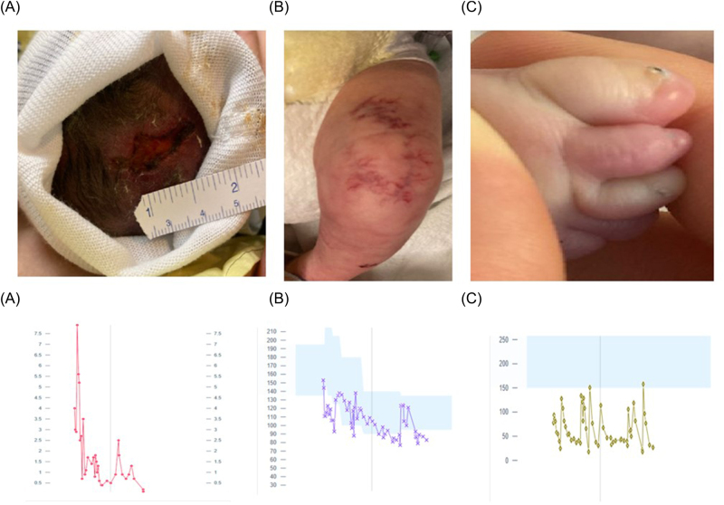 Figure 1