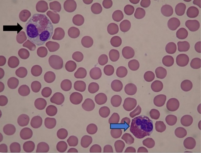 FIGURE 1