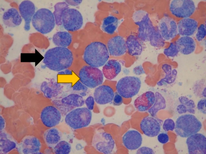 FIGURE 2