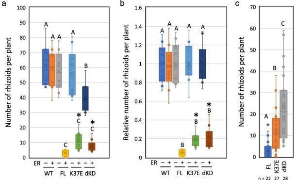 Figure 10