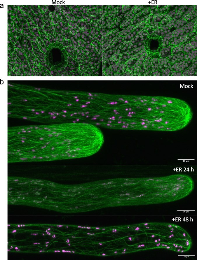 Figure 6