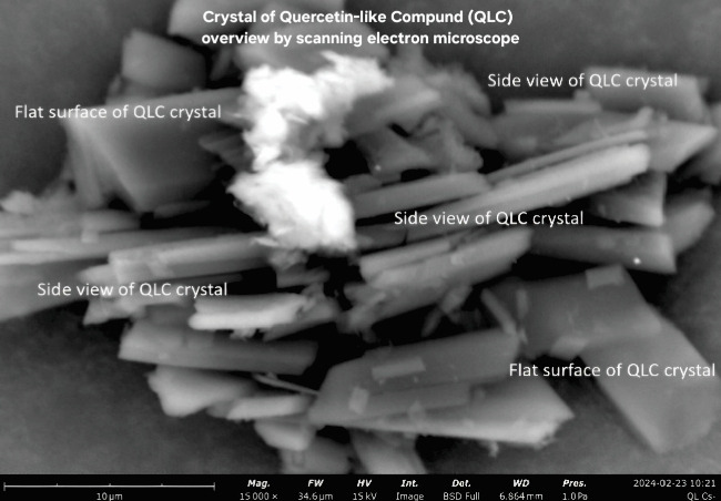 Figure 7