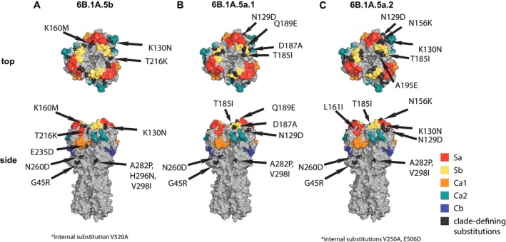 FIGURE 3