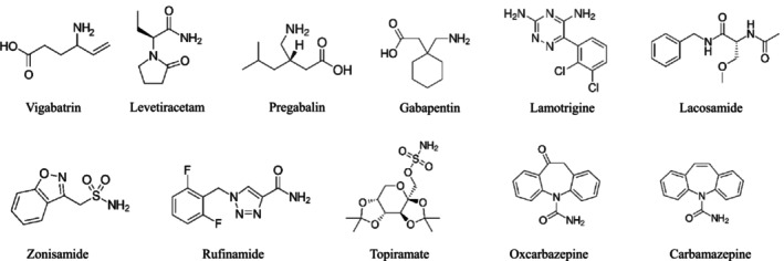 FIGURE 1