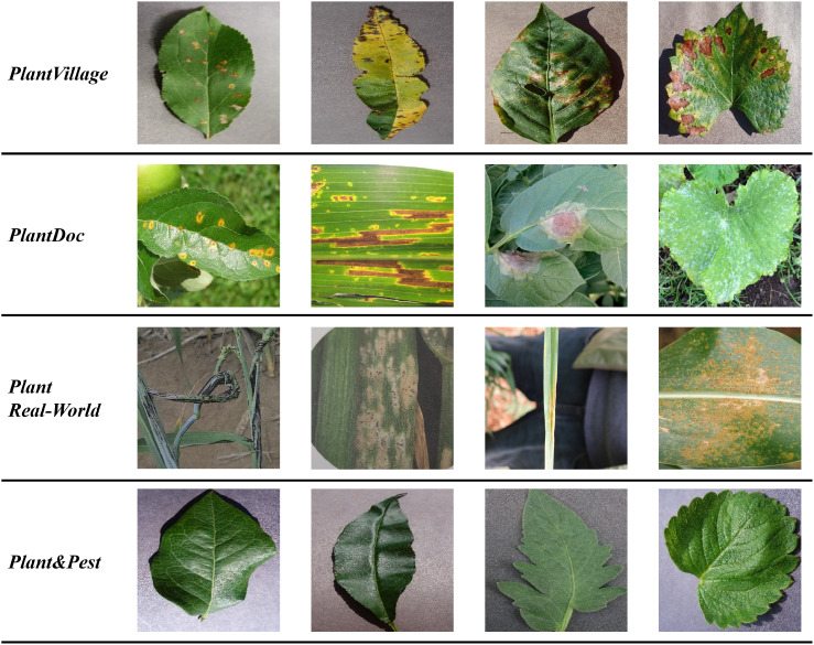 Figure 2