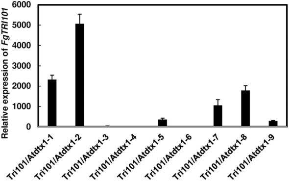 Figure 3