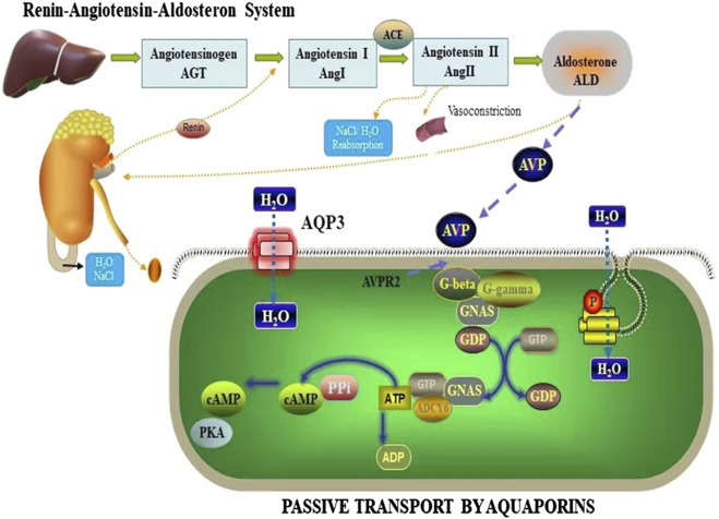FIGURE 10