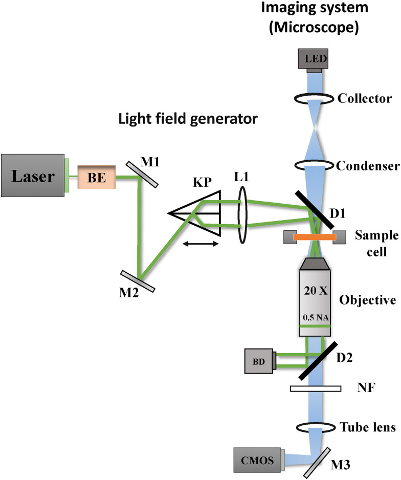 Fig. 1