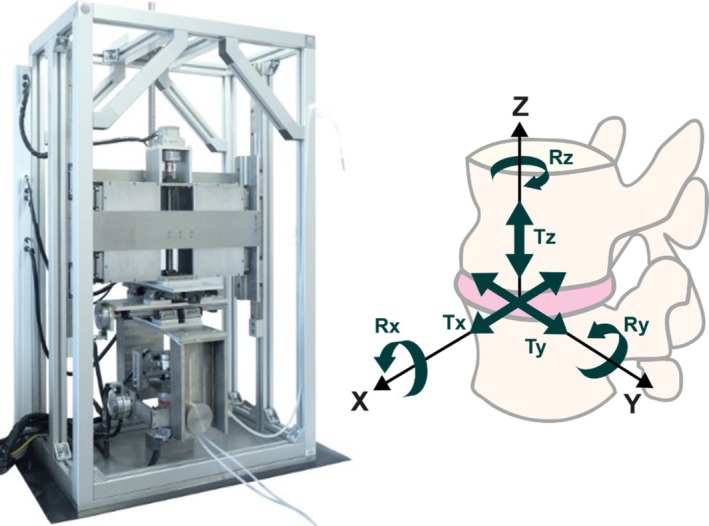 FIGURE 1