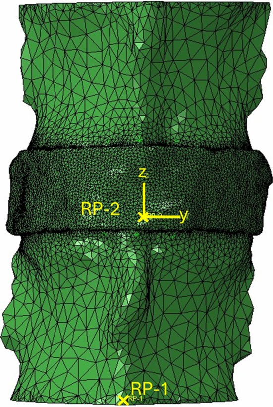 FIGURE 2
