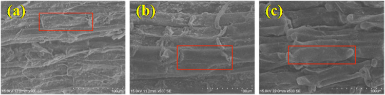 Fig 8