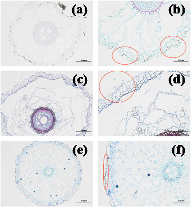 Fig 9