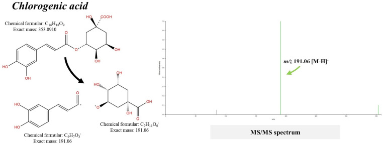 Fig 5