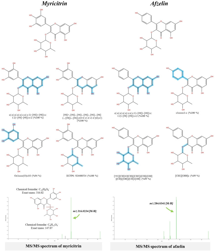Fig 6