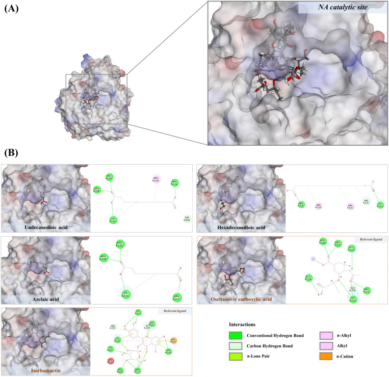 Fig 10